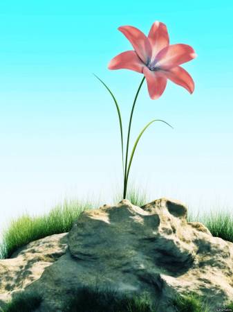 Beautiful flower