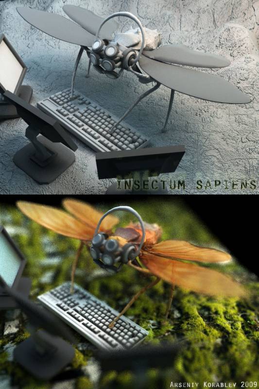 Insectum Sapiens